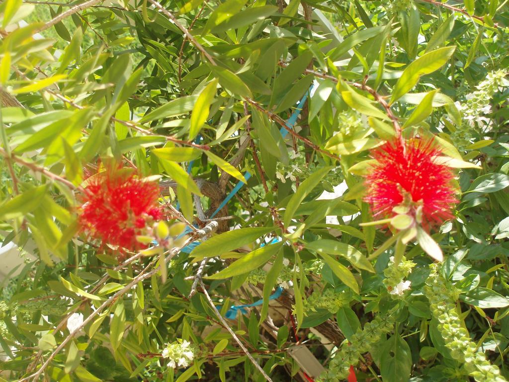 דירות Paralía Four Seasons 2 מראה חיצוני תמונה